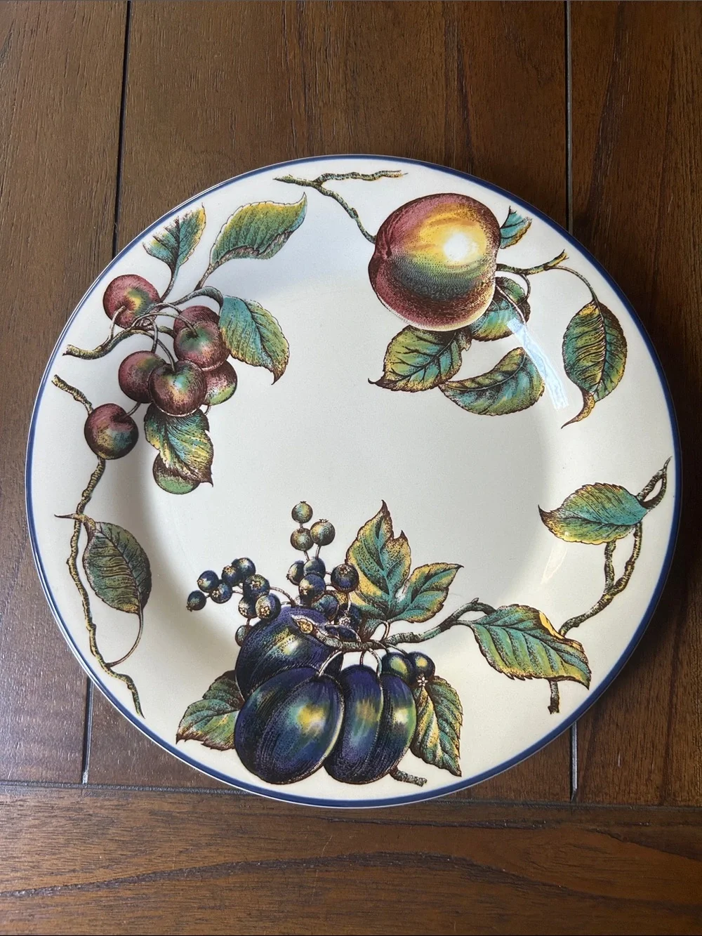 Pier 1 ‘Macintosh’ 10.25 inch Dinner Plate